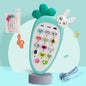 Musical Educational Pretend Play Toy-1